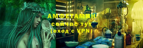 ПСИЛОЦИБИНОВЫЕ ГРИБЫ Абаза