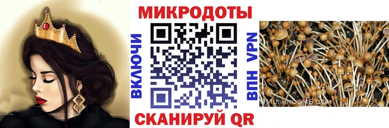 Псилоцибиновые грибы Cubensis  OMG как войти  Нестеровская 